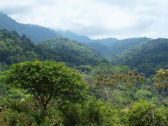 Old-School Community Spirit in Low-Cost Quebradas