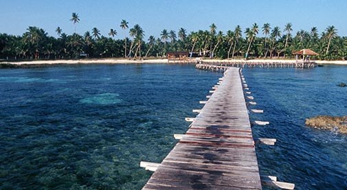 Back on Board: A Surfer Finds Happiness in the Philippines