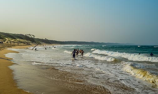 A Walk on the Wild Side in Ponta do Ouro, Mozambique